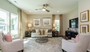 Living Room with ceiling fan light colored rug and furniture