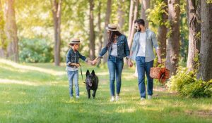 family with dog walking through shaded woods in fall with picnic basket